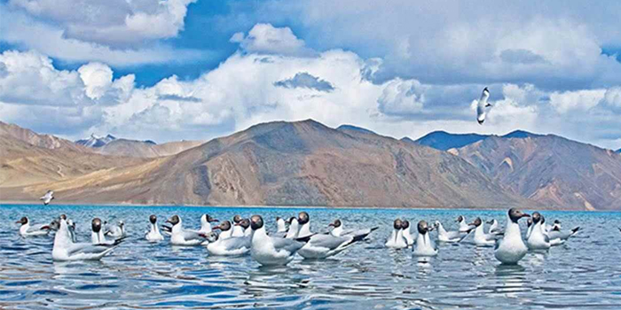 Top 6 Orte in Ladakh zu besuchen