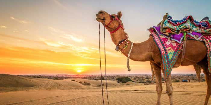 Märchenhaftes Rajasthan: Eine Reise durch die Wüstenlandschaft Indiens