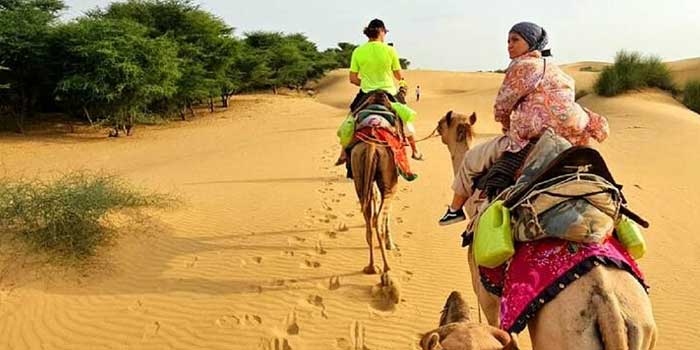 Wüstenoasen und Kamelsafaris: Abenteuer in den Dünen von Thar