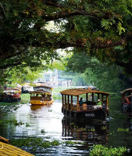 Alleppey Reiseführer – Keralas Backwaters