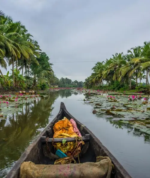 Kumarakom Reiseführer – Backwaters & Vogelschutz