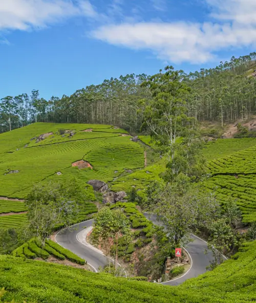 Munnar Reiseführer – Keralas Teeplantagen