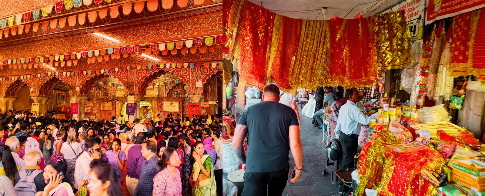 Jaisalmer Fort, Mehrangarh Fort in Jodhpur und Amer Fort bei Jaipur, Rajasthan.