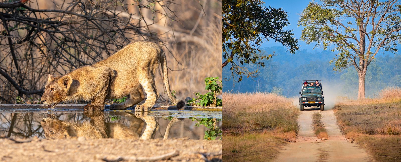 Rajasthan & Gujarat Rundreise: 17 Tage mit Kutch