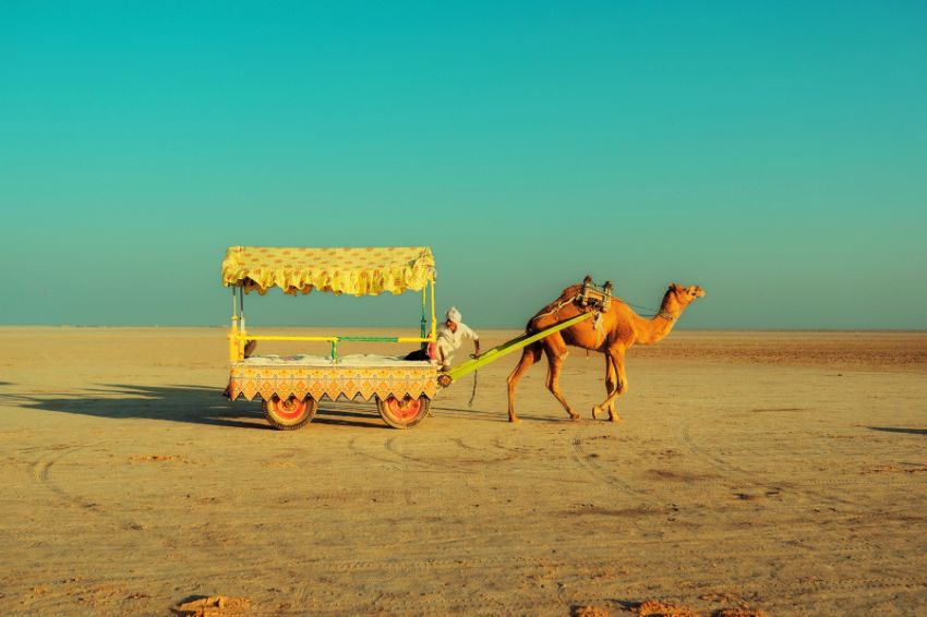 Rajasthan & Gujarat Rundreise: 17 Tage mit Kutch